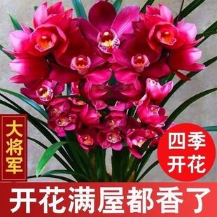 �ͺ��͟��m�����������Խ��mī�m�҃��̨�ļ��_���͏d�Gֲ����