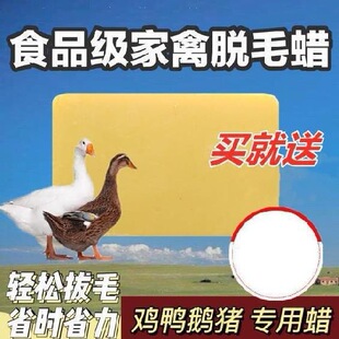 ȥ�qëë��Сճ���uë��ëϞ�u����ë����ÓëϞ���ӽqë�Z