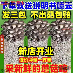 ƽ��������̫ͥ��ʳ�þ�ʳ�ð�һ�����Nֲ�Nֲ���r��Ģ�����N����