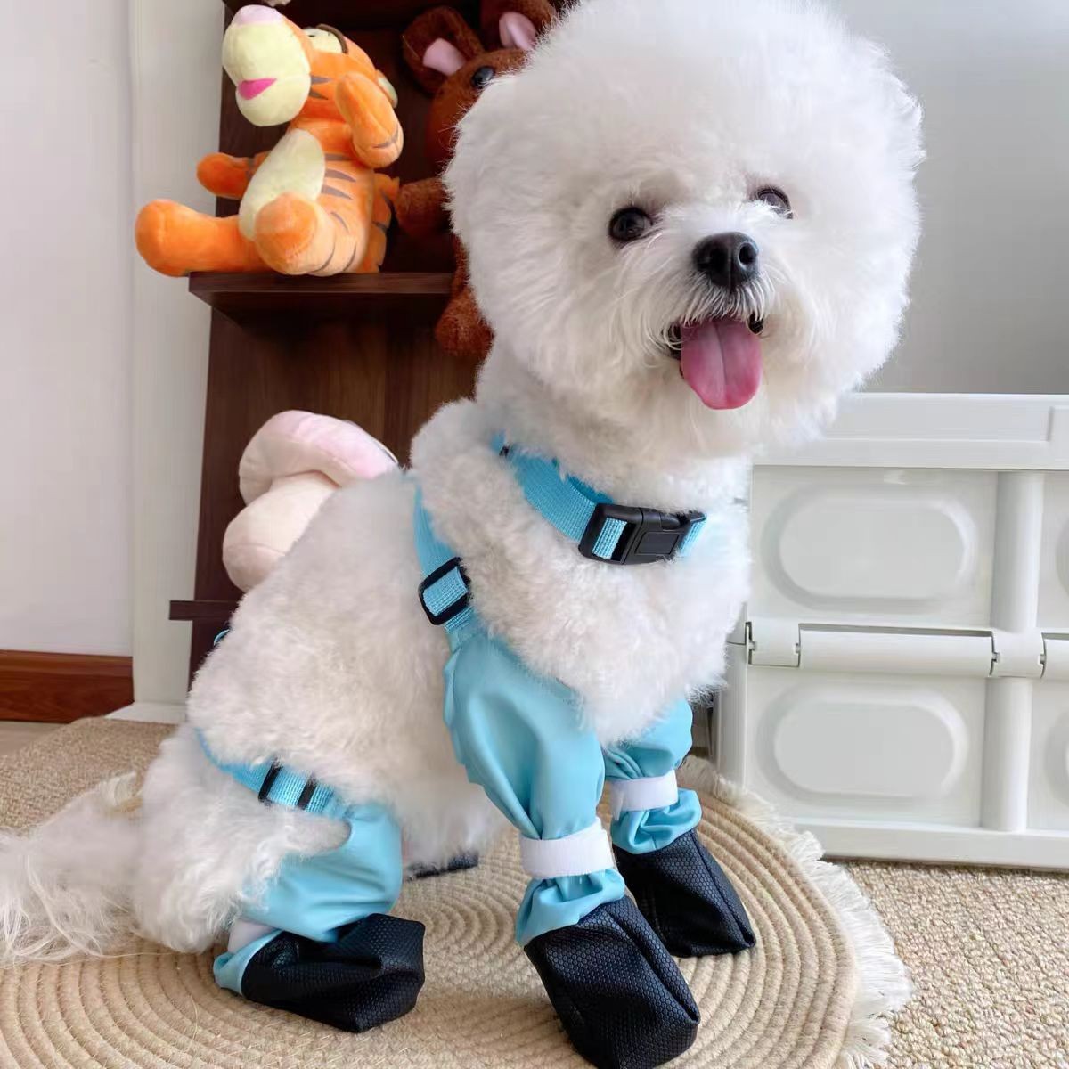파란색은 신발에서 떨어지지 않습니다
