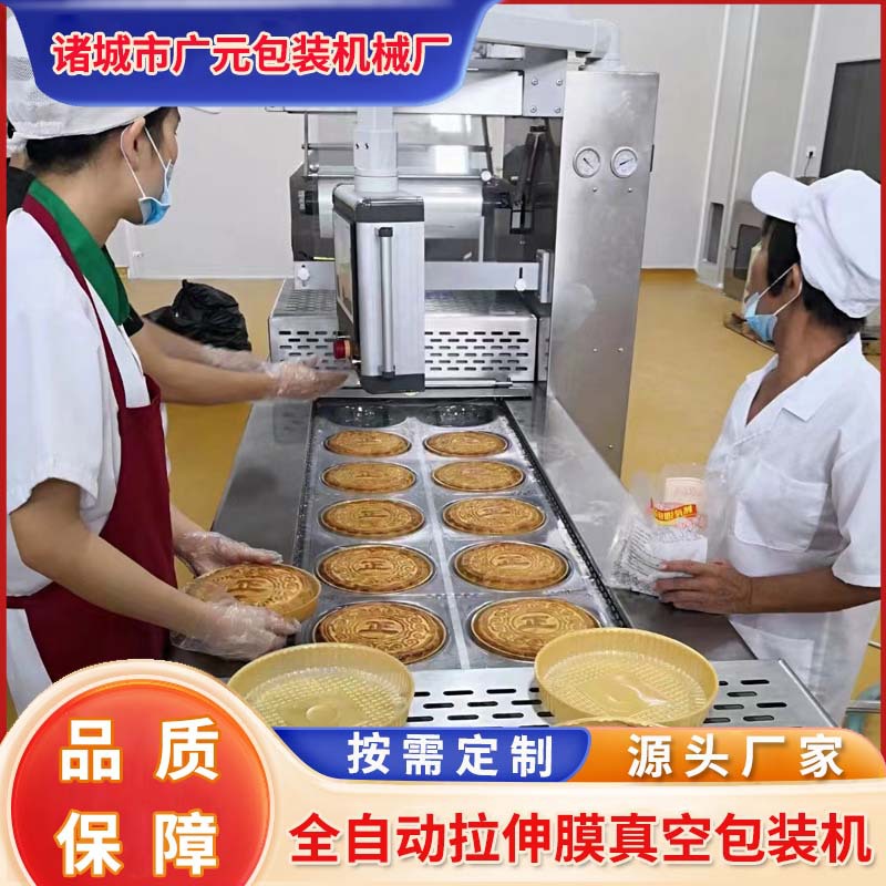 杏肉干菠萝干拉伸膜真空包装机 凤梨干全自动包装设备 真空封口机