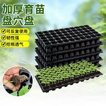 �S�Ҷ����߲����猣�ñP�؏�ʹ�÷Nֲ�������P��̖����PѨ�P�бP