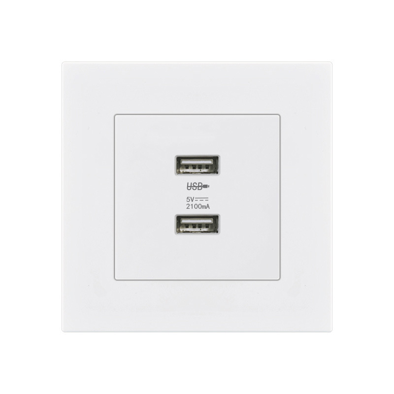 Foreign Trade Type 86 Concealed Two-Hole USB Charging 2 2-Position 220V to 5V Construction Site 36V USB Socket Panel