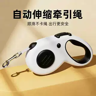 跨境爆款狗狗牵引绳外出遛狗胸背带自动伸缩装备柯基宠物用品批发