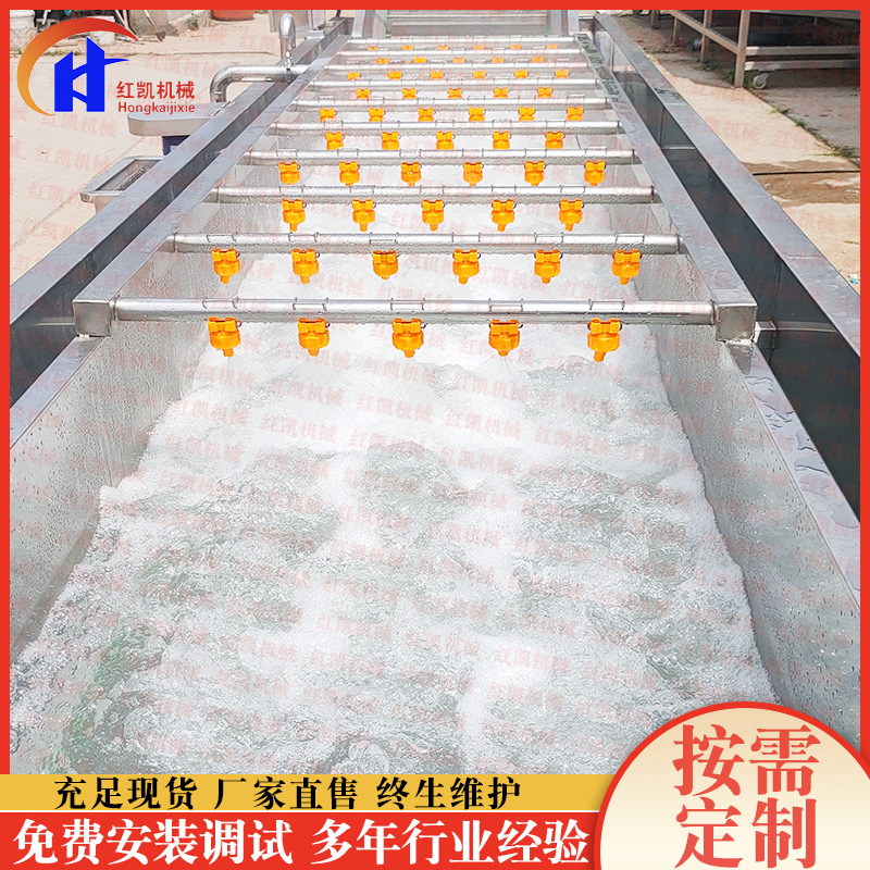 供应全自动橘子气泡清洗机 不锈钢淋喷式果蔬清洗机 厂家供应
