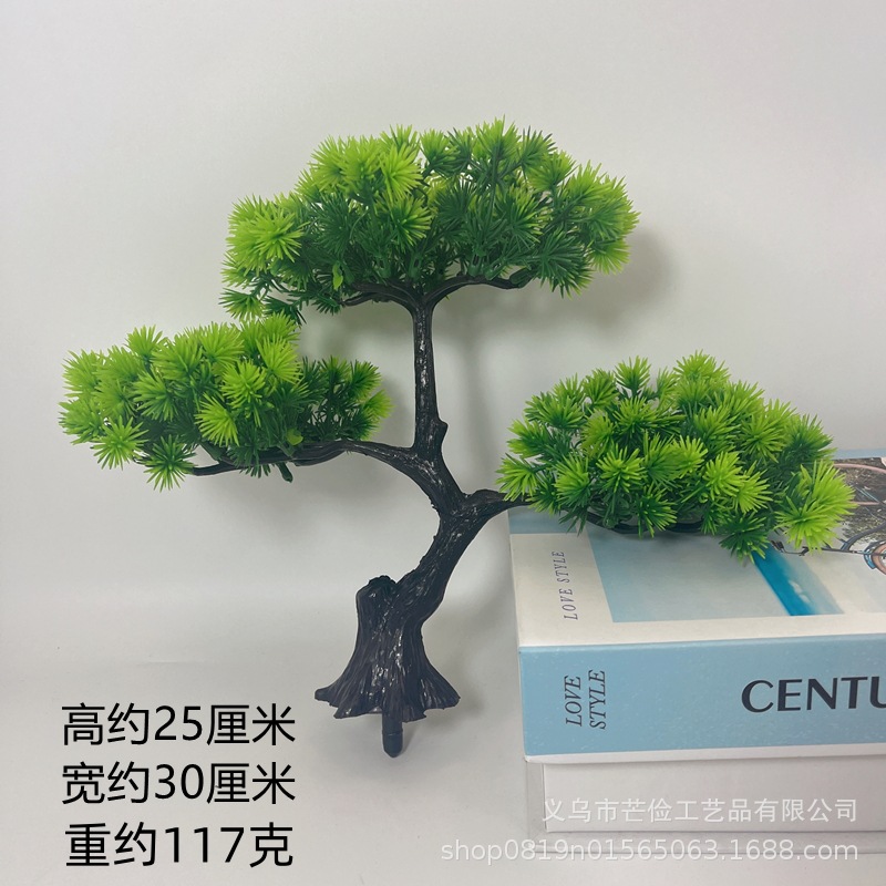 Ganoderma lucidum 환영 소나무 [대야 없음]