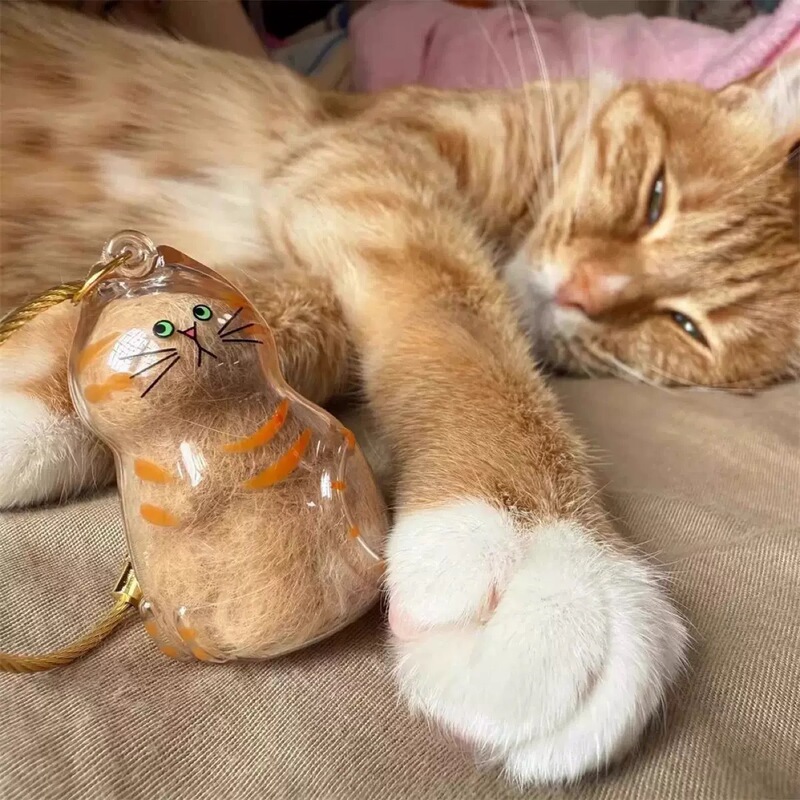 人気のキーホルダーペンダント、見栄えの良い猫の透明シェルファーボールペンダント、ペットの毛収納クリエイティブキーホルダー|undefined