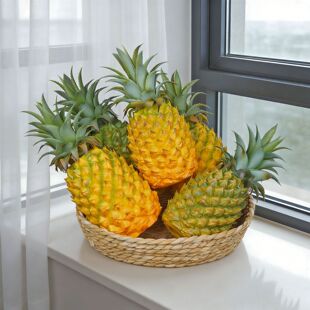 ����ˮ���߲�ģ�ͷ��沤�}�������P����߻�����ˮ���b��Ĕz�[��