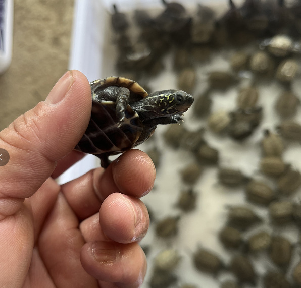 微信图片_202210022035507