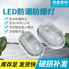 LED防湿ランプ、防爆エレベーターウェルライト、バスルームラウンドオーバルスリープルーフランプ、ガレージ地下防湿ウォールランプ