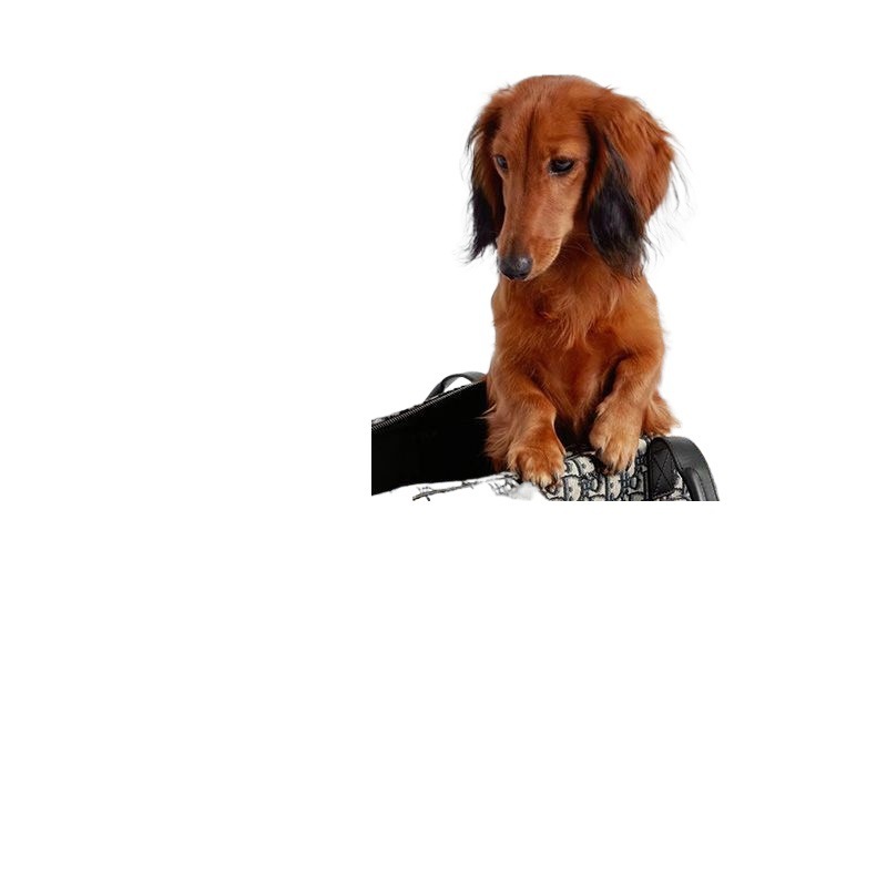 ペットの豪華な犬の携帯バッグの潮牌DD法斗博美ヨークシャー雪納瑞猫の特包|undefined