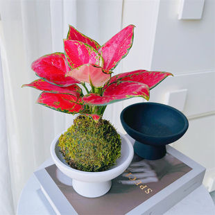 �����ț�\��ˮ������ʺ�t��k���҃ȿ͏d���ҾGֲ���������