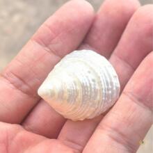 ?��ȻС�y������ �ľ�з��Q�� Сؐ�����ݚ��~���쾰�Ʒ�[����