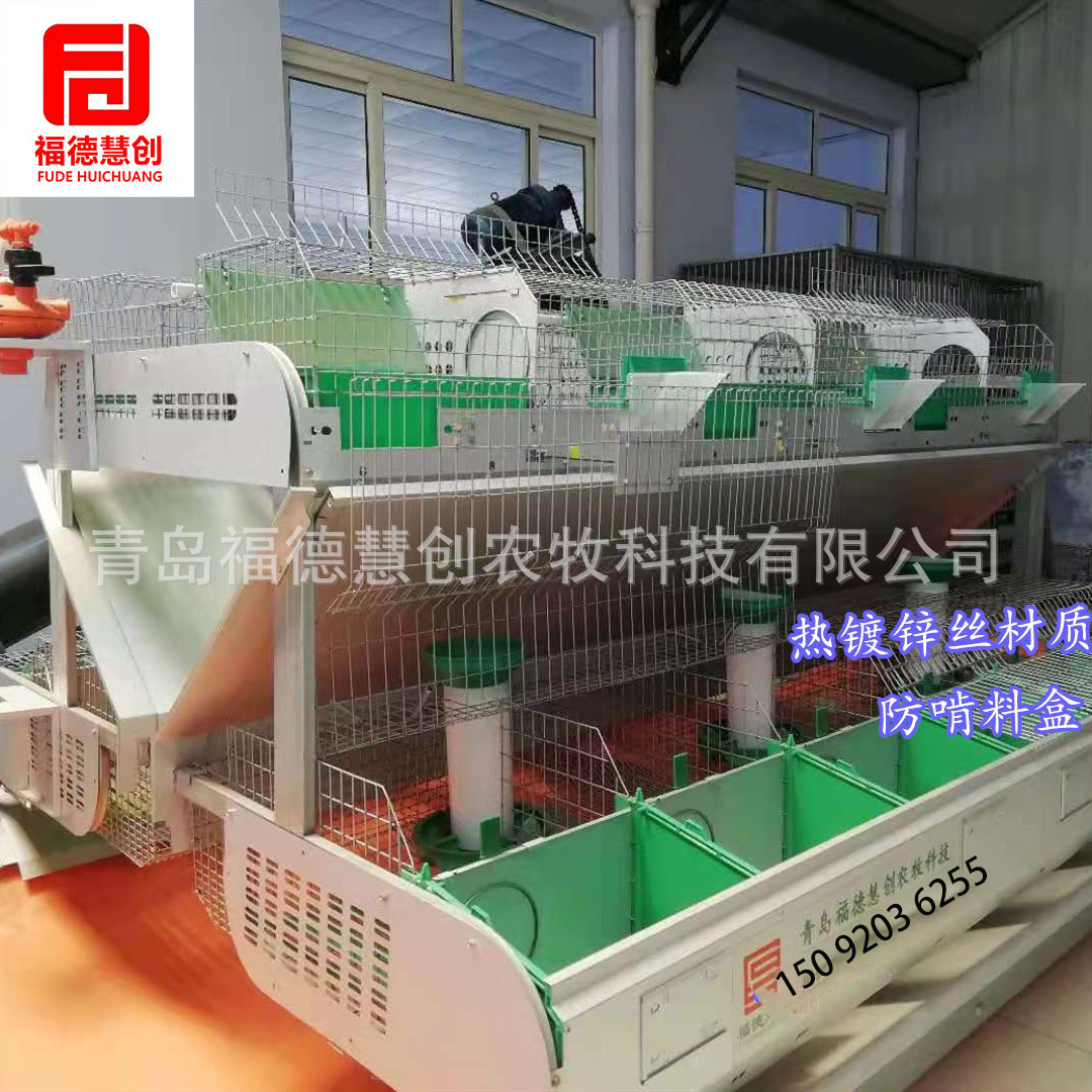 兔笼 欧式双层繁育一体母兔笼