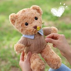 シャツを着たテディベア、ぬいぐるみ、抱き人形、バレンタインデーギフト、ネットで話題の花束ベア、ホリデーギフト