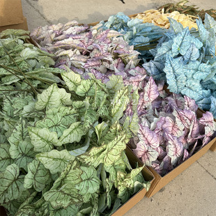 11�洺���~ 3D���滨����Gֲɭϵ�Gֲ�ҾӔ[��ܛ�b���~���R���~