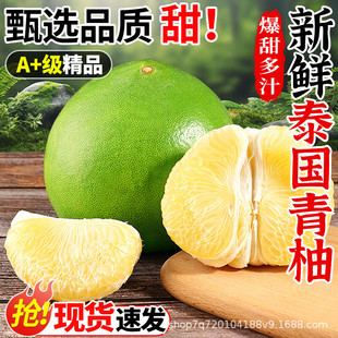 ̩���������r����ˮ�������Fժ���ְ���������Ƥ���ִ������