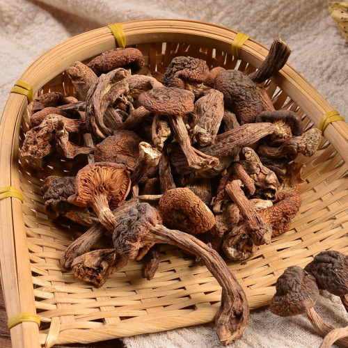 Source: Northeast Specialty Dried Wild Matsutake Mushrooms, Chicken Stew with Mushrooms, Dried Wild Fungi, Matsutake Mushrooms Available for Shipping