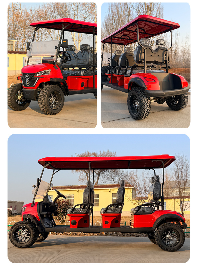 8+2 10-Seat Electric Four-Wheel Vehicle for Sightseeing/Recreation