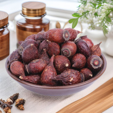 ҰӲl Ӣ ҰӸ؛Ұr؛ݾ