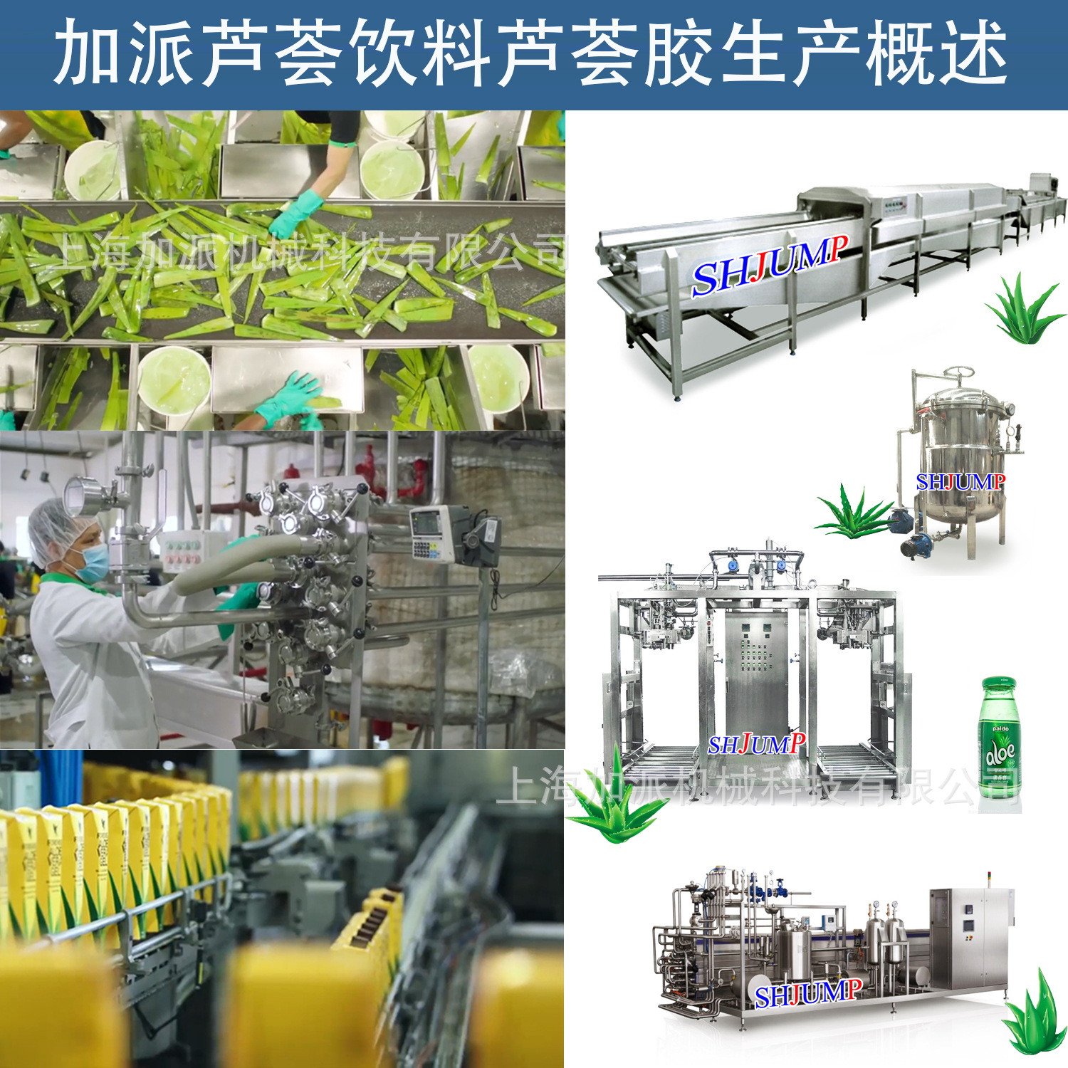 蘆薈加工生產線2