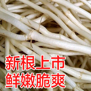 ��������~�Ȳ�֮�l���r�~�Ȳ��۶���2500gһ������Ї����b����