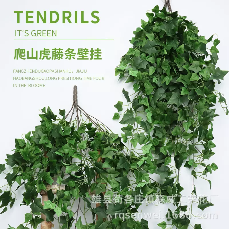 仿真常春藤壁挂 爬山虎吊兰花装饰绿叶藤条假地瓜叶绿萝壁挂