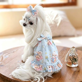 狗狗服装;狗狗牵引