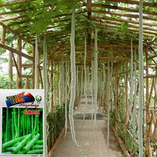 �߶��߹ϷN���߲��Ѵ������ļ��������߶������^�pʳ���߶��ǷN��