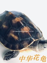 ���A����С������������������������������w����ˮ���L���^�S��