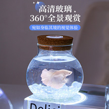 玻璃斗鱼瓶创意微景观瓶办公室生态瓶桌面大肚瓶带灯小金鱼缸