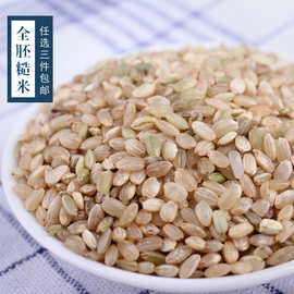营养美味 农家粗粮五谷杂粮全胚芽糙米新米活米可发芽的大米5斤