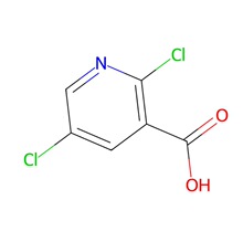 2,5-二氯烟酸 CAS编号: 59782-85-3 免费开票