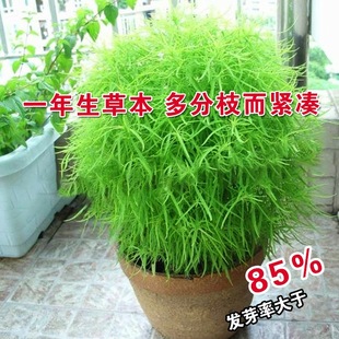 ���~���w�N�ӿ�ȸ�ɷN�� �t�~���w�����̨����ꑵز��N�^�~ֲ��