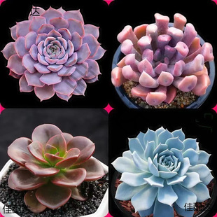 ֲԽM϶Ϙ¶ҵֲ҃ ļ