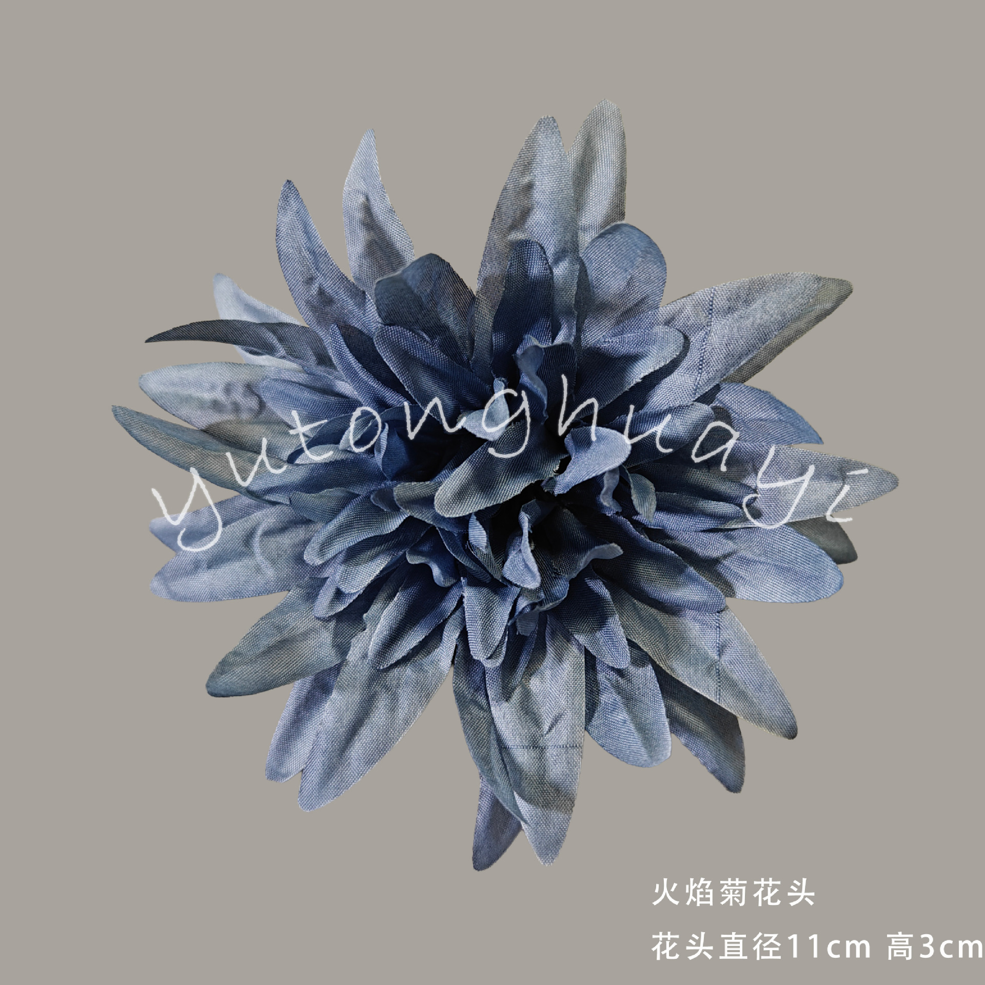 Flame chrysanthemum flowers-fog blue