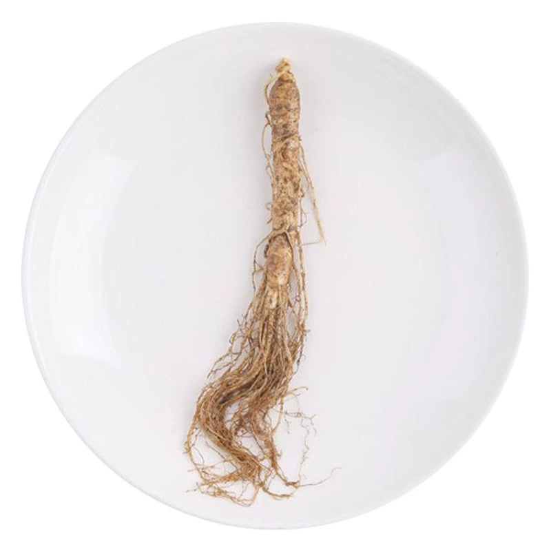 Горный Чанбай женьшень оптом таблетки женьшеня с почвой свежее вино женьшеня и лекарственный материал суп оптом поколение волос