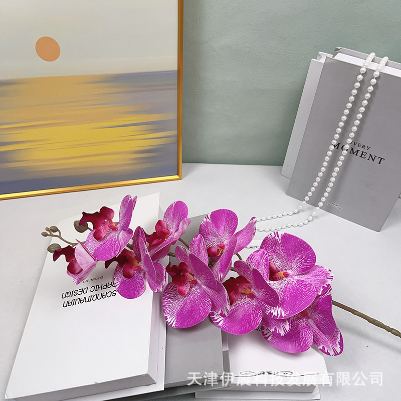 9헤드 호접란-3호