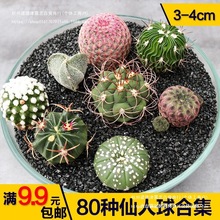 �_����ݗ�����[�P�M���ײͶ��ϼ��������������Ƕ���ֲ��������