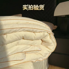 2026新款锁温大豆提花十孔被春秋被冬被子被芯学生大豆抗菌冬被被