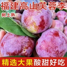 �F؛����ܽ�������r���Ӯ����Fժ������ˮ���t�������A������]5