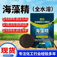 徫ˮܷСbS500ƬЙC徫rø⺣徫