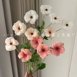 4�^������ĵ�� ���W��ˇ�쾰��Y�b� ���g��ꐔ[�ŔzӰ����ins