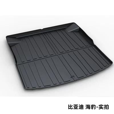 Trunk Mat – for the Tang Dynasty Ocean Dynasty - byd-seal-dedicated-car