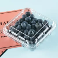 Шитули черника коробка фрукты упаковка коробка ПЭТ материал супермаркет Прозрачная крышка черника свежие фрукты лоток