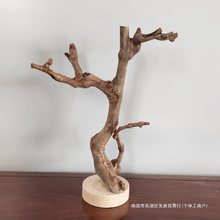 原木树杈带底托摆件 书架客厅茶几摆设 手工天然把玩首饰实木支架