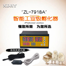 ZL-7918A/XM-18孵化箱孵化器全自动孵化机温湿度控制器