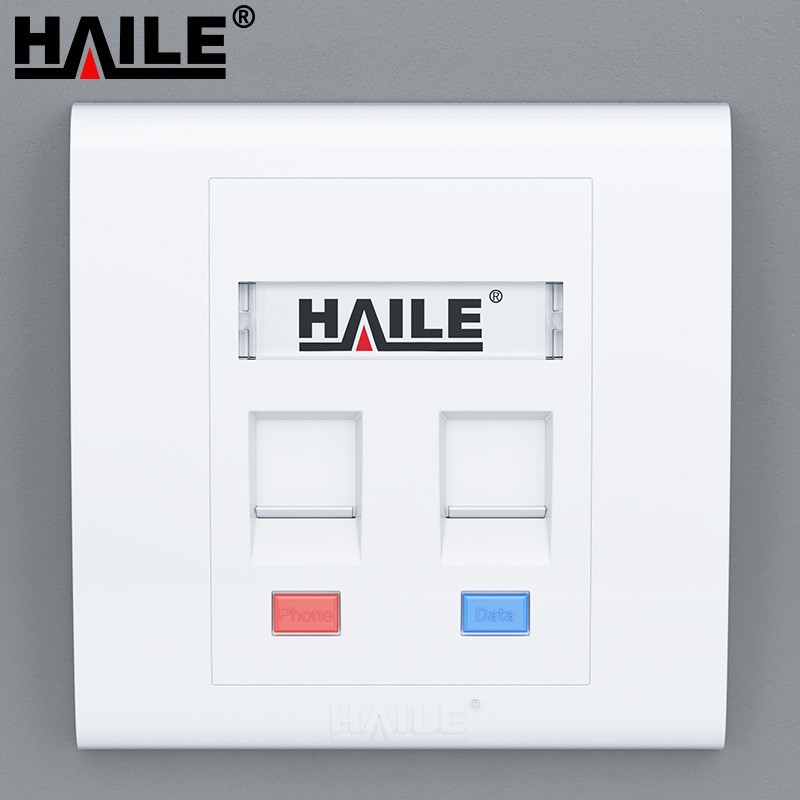 86型双口网络信息面板/网线插座/电脑插座/网络信息插座 十个装