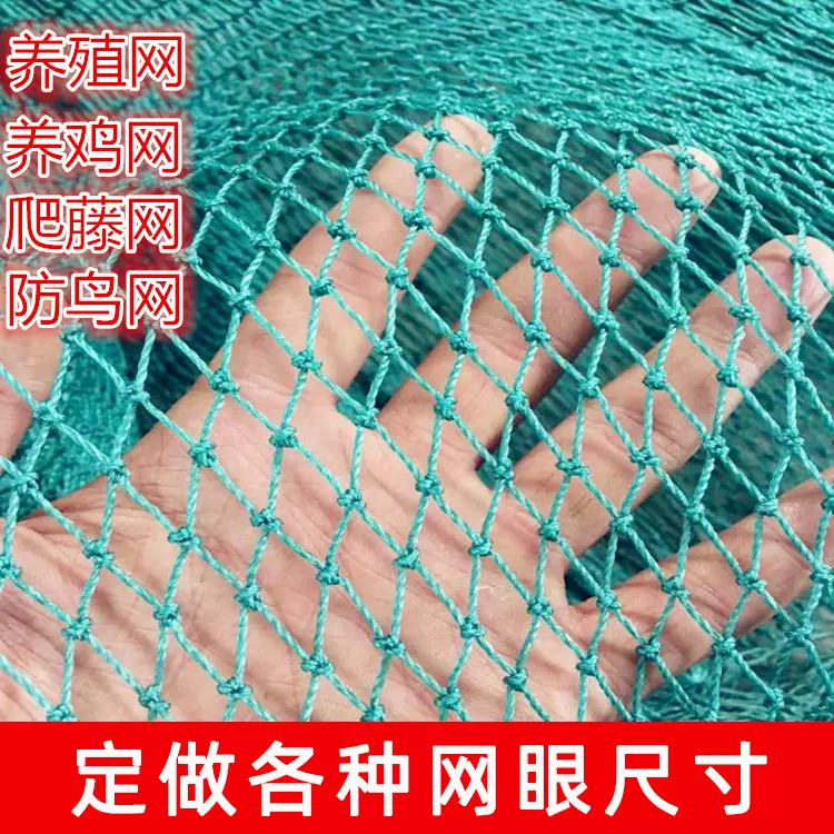 聚乙烯网防鸟网拉网拖网养鱼网箱养鸡网爬藤网球场围网水产养殖网
