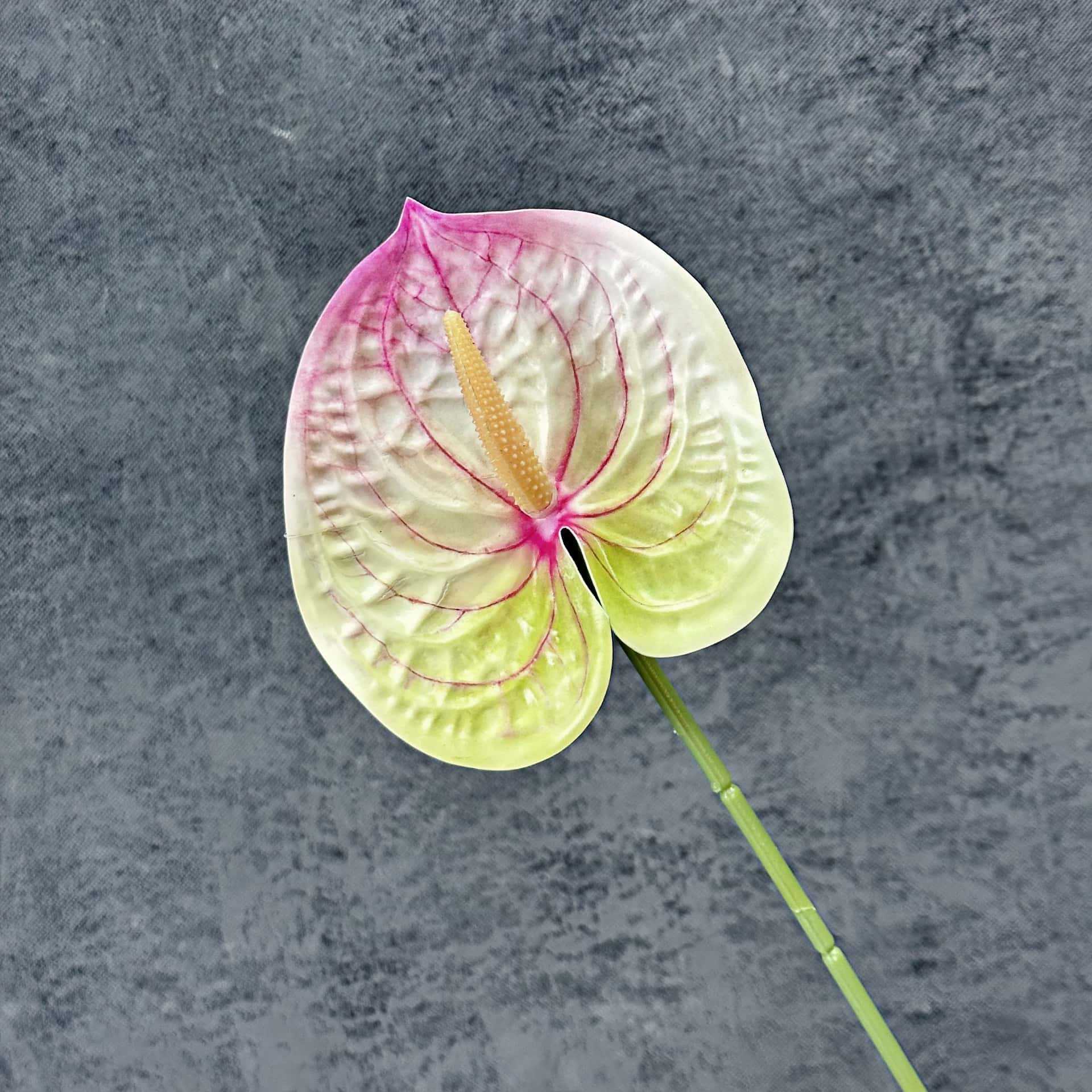 Decoración de Escenarios de Boda con Anturios Simulados, Decoración del Hogar, Accesorios de Fotografía, Adornos de Flores Artificiales en 3D para Venta al por Mayor